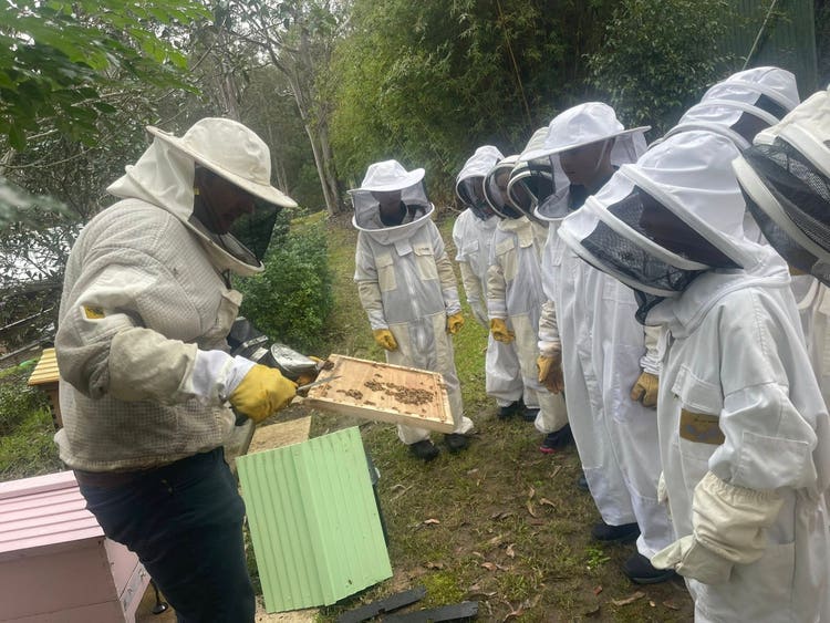 students-in-bee-keeping-suits-with-handler