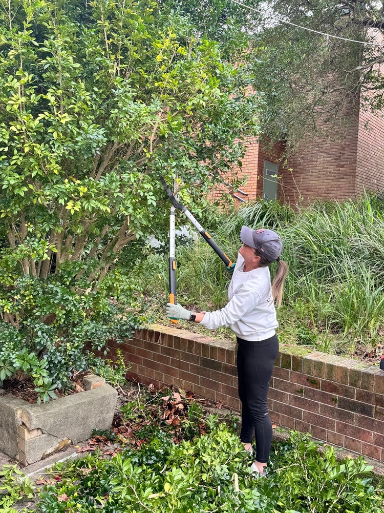 parent-trimming-tree
